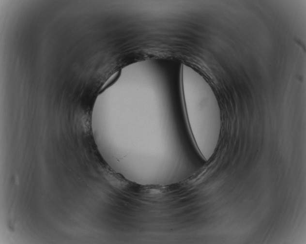 X0000094080285200710190925