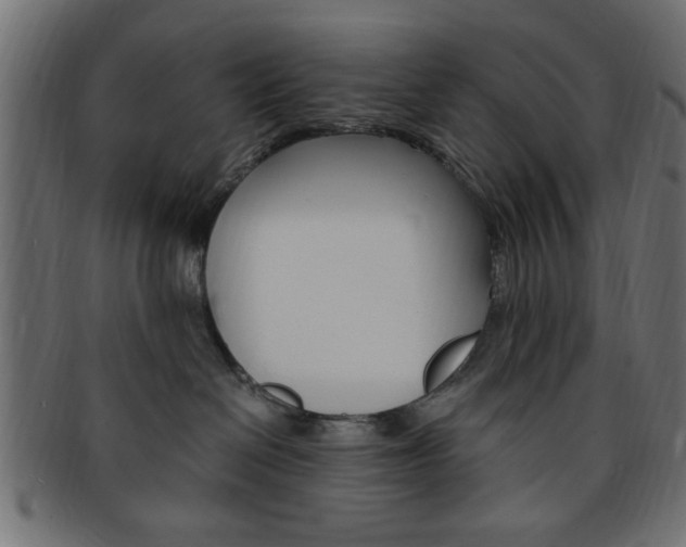 X0000094080286200710190925