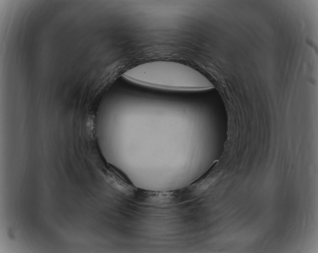 X0000094080288200710190925