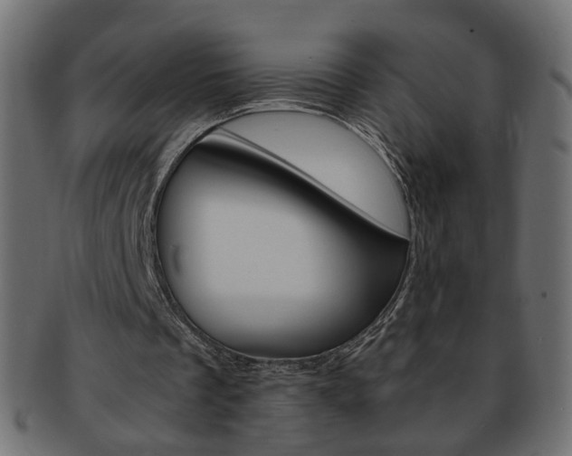 X0000094080289200710190924