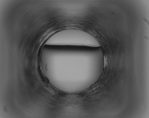 X0000094080291200710190924