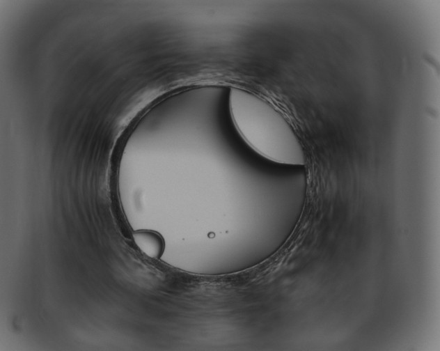 X0000094080292200710190924