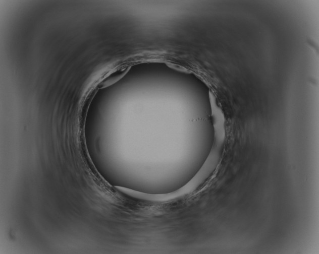 X0000094080293200710190924