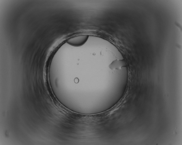 X0000094080294200710190924