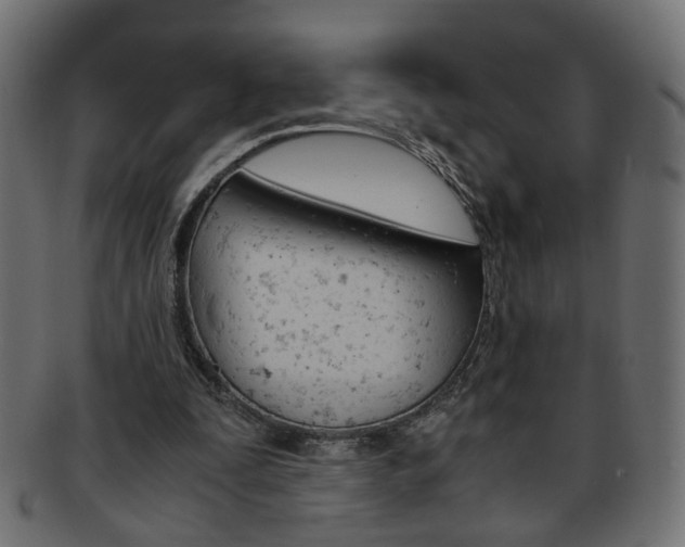 X0000094080295200710190924