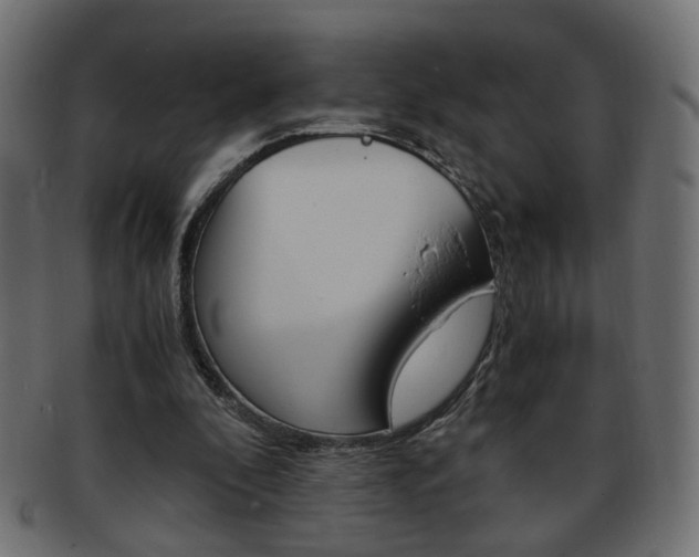 X0000094080296200710190924