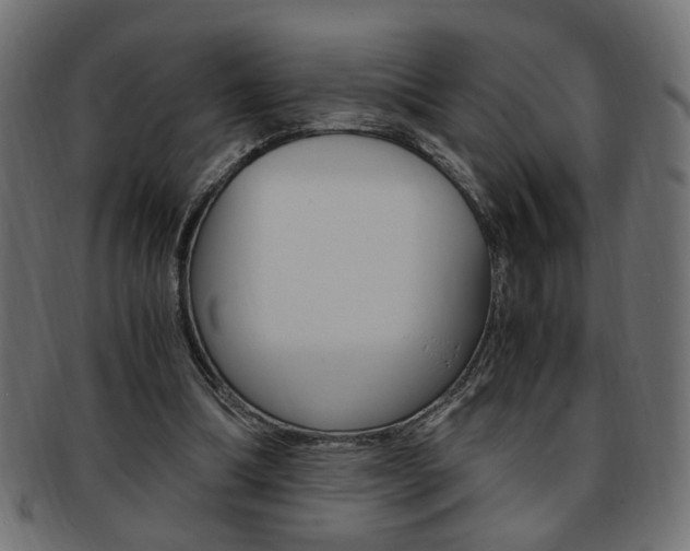 X0000094080298200710190924