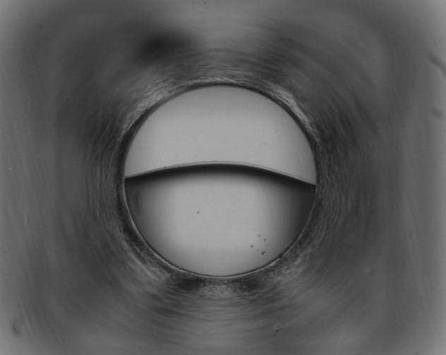 X0000094080299200710190924