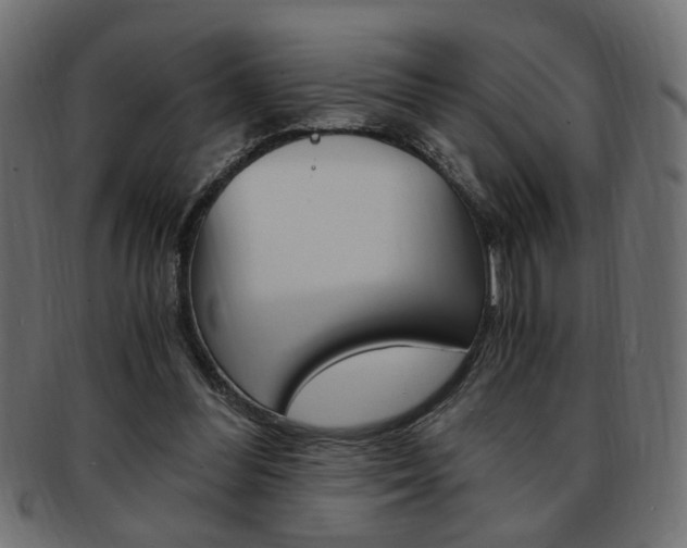 X0000094080300200710190924