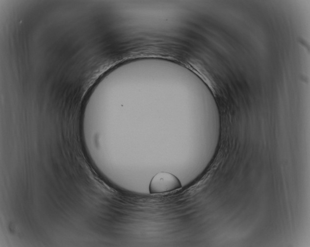 X0000094080301200710190924