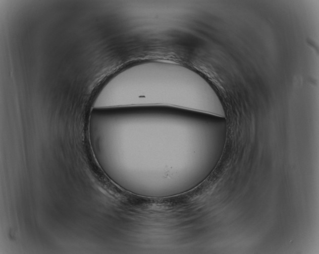 X0000094080303200710190924