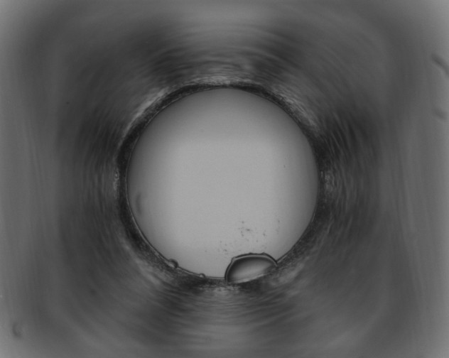 X0000094080304200710190924