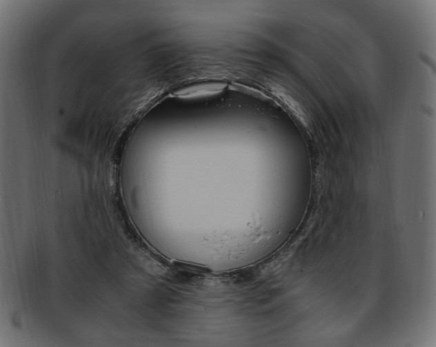 X0000094080305200710190924