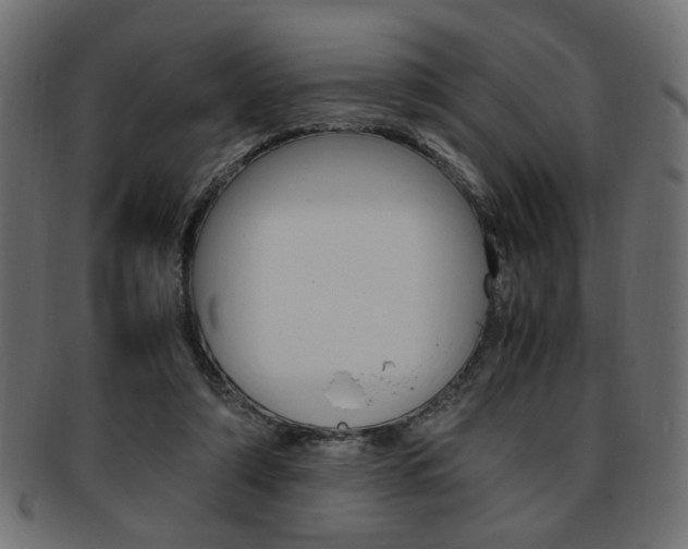 X0000094080306200710190924