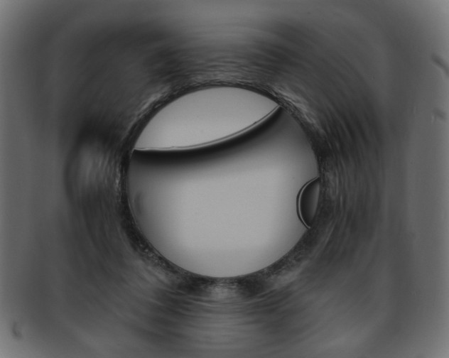 X0000094080308200710190924