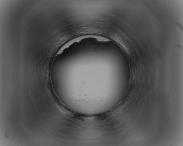 X0000094080309200710190924