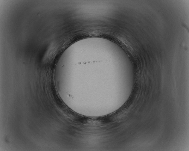 X0000094080311200710190924