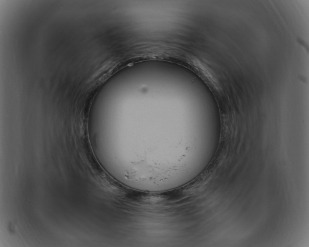 X0000094080313200710190924