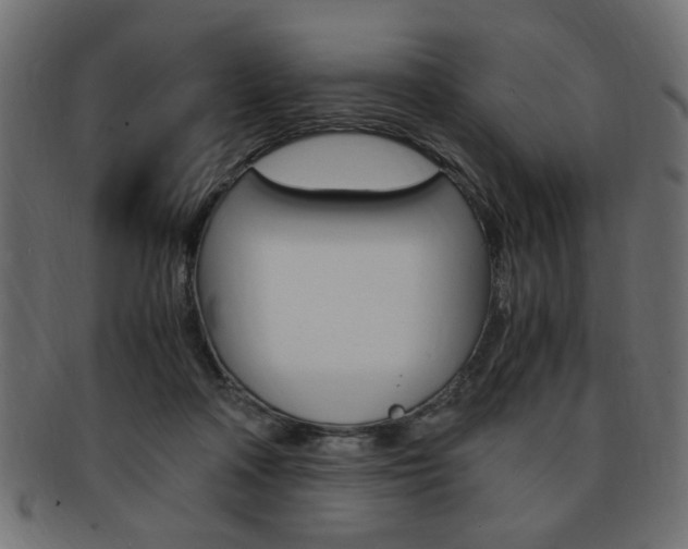 X0000094080314200710190924