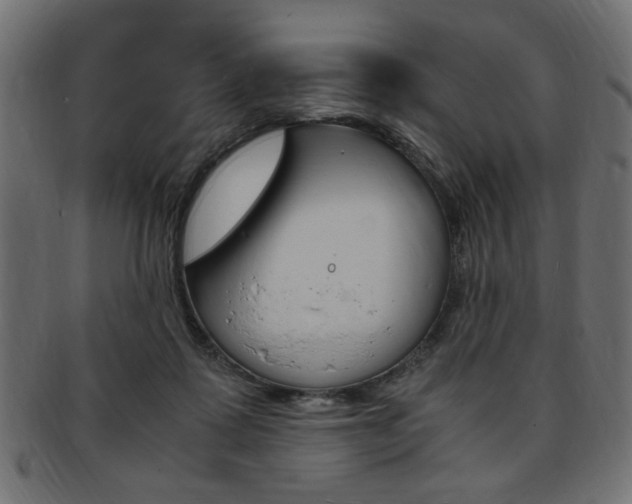 X0000094080315200710190924