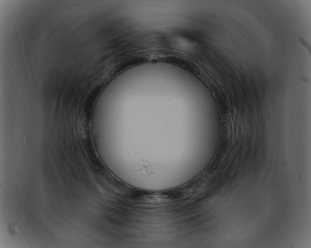 X0000094080316200710190924