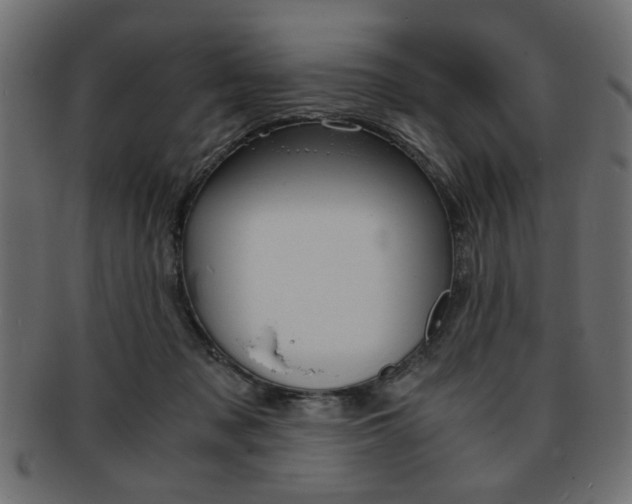 X0000094080317200710190924