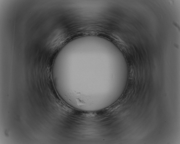 X0000094080318200710190924