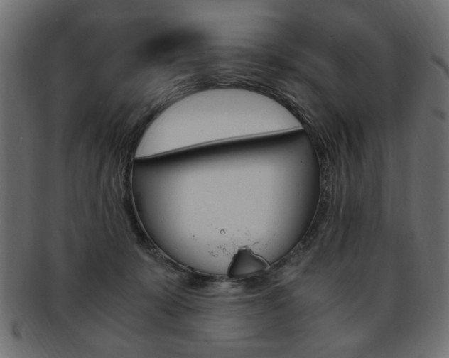 X0000094080319200710190924