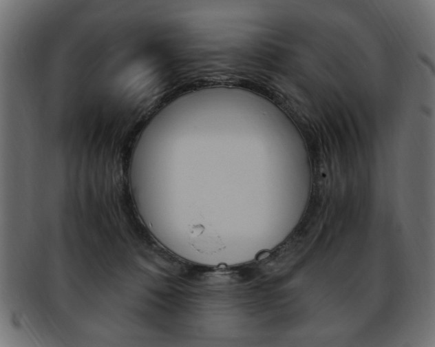 X0000094080320200710190924