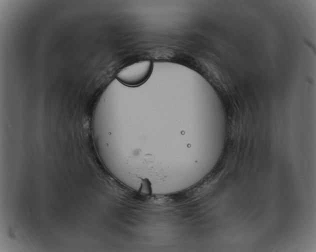 X0000094080321200710190924