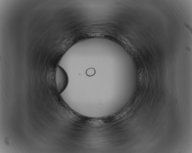 X0000094080322200710190924