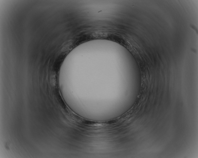 X0000094080323200710190924