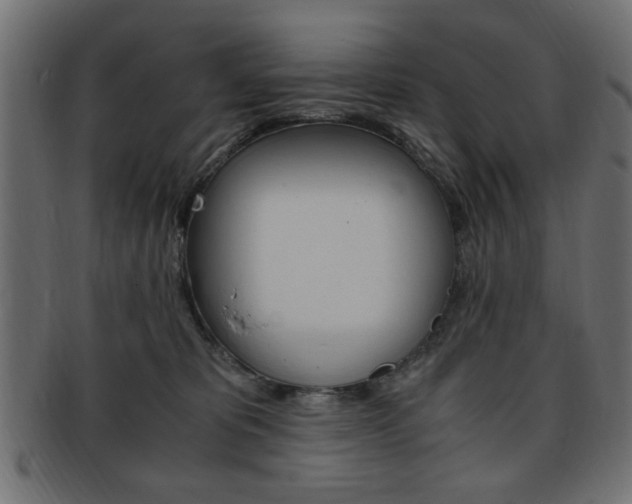 X0000094080325200710190923