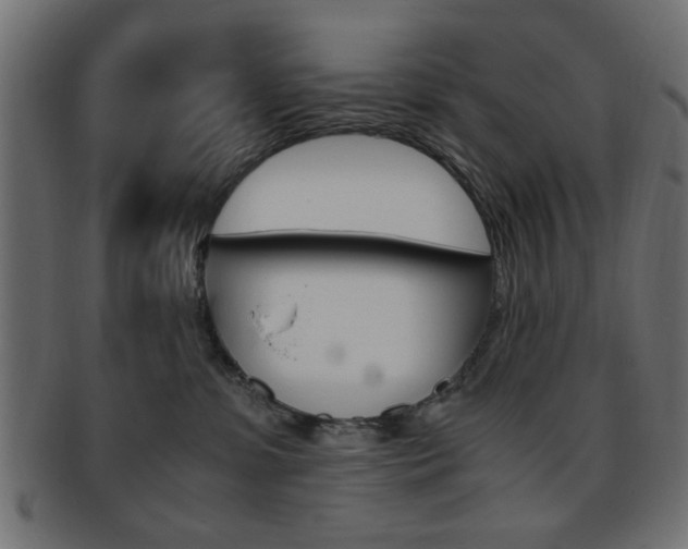 X0000094080331200710190923