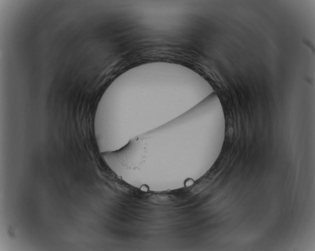 X0000094080332200710190923