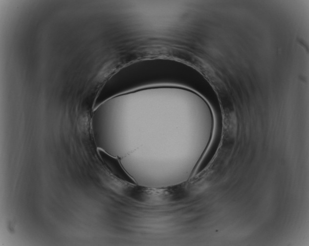 X0000094080333200710190923