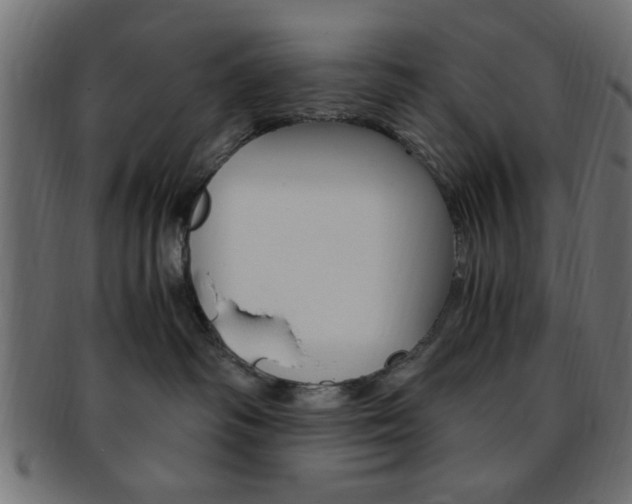 X0000094080334200710190923