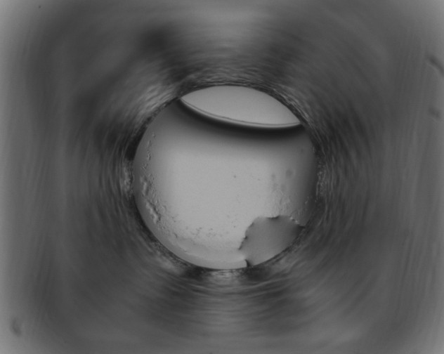 X0000094080335200710190923