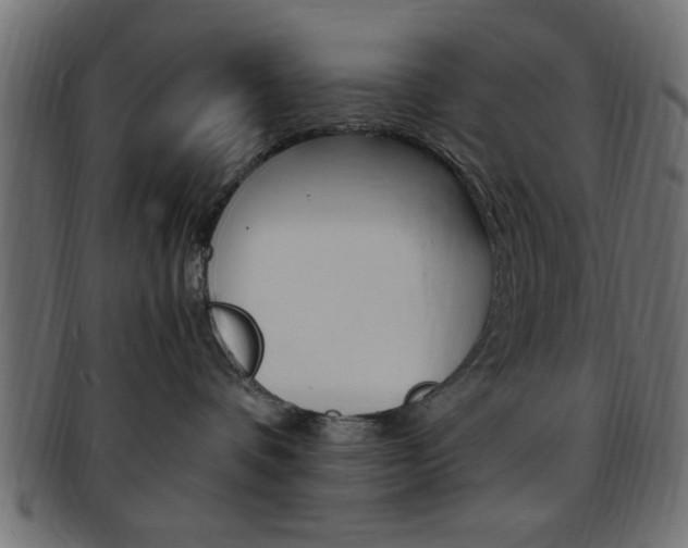 X0000094080336200710190923