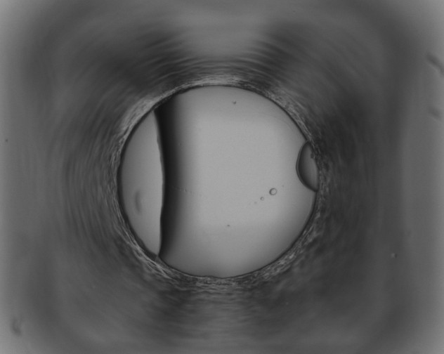 X0000094080337200710190923