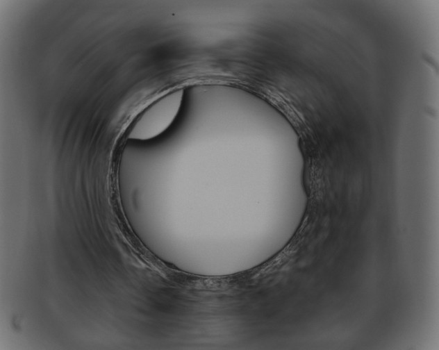 X0000094080338200710190923