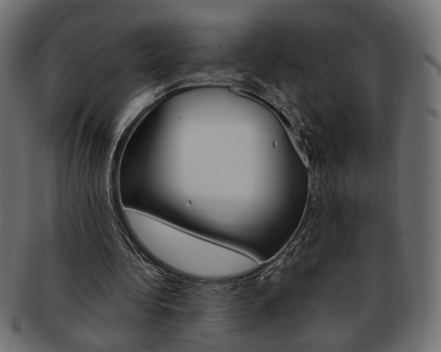 X0000094080340200710190923