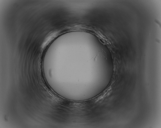 X0000094080341200710190923