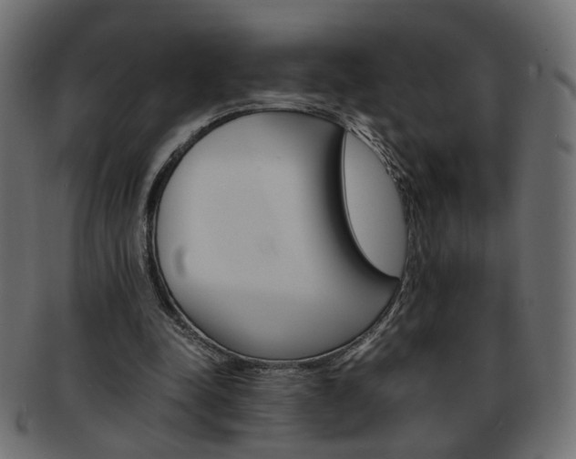 X0000094080342200710190923