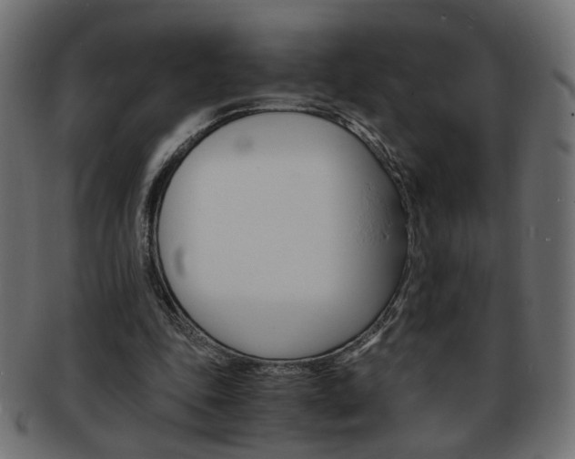 X0000094080343200710190923