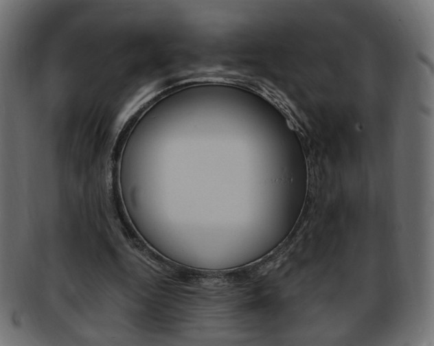 X0000094080344200710190923