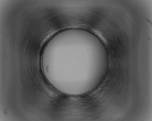 X0000094080346200710190923