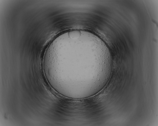 X0000094080347200710190923