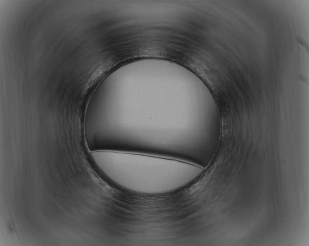 X0000094080349200710190923