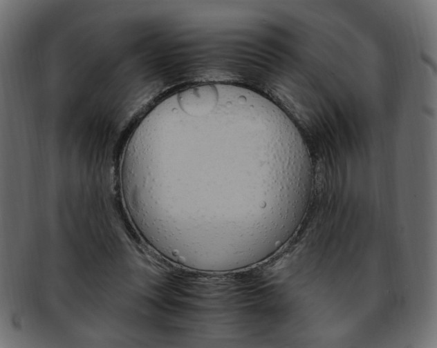 X0000094080351200710190923